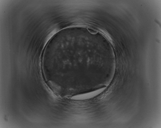 X0000093370907200710191113