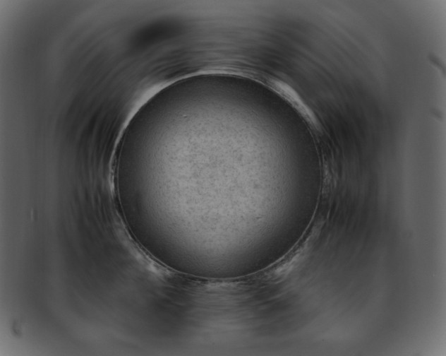 X0000093370908200710191113