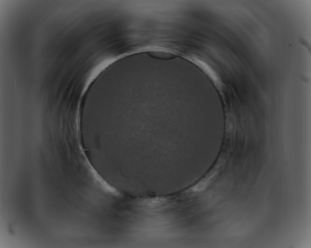 X0000093370910200710191113