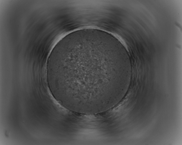 X0000093370911200710191113