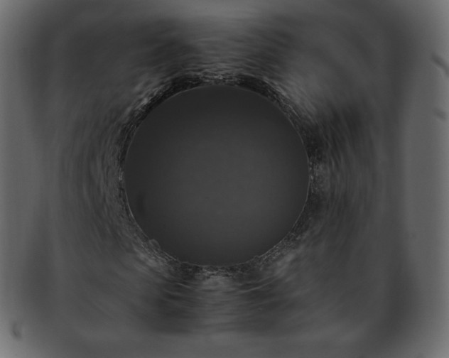 X0000093370913200710191113