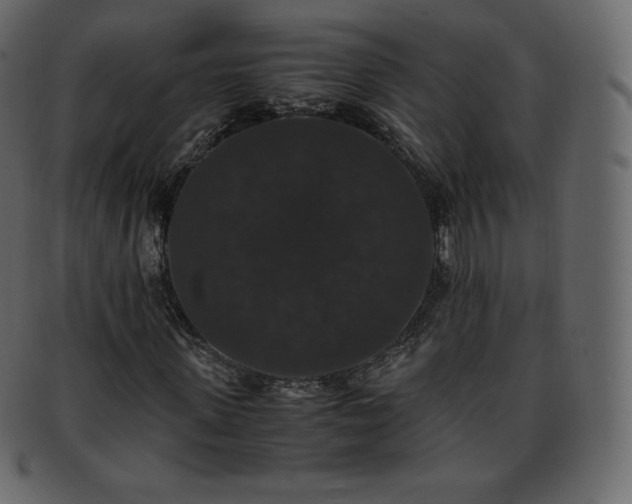 X0000093370915200710191113