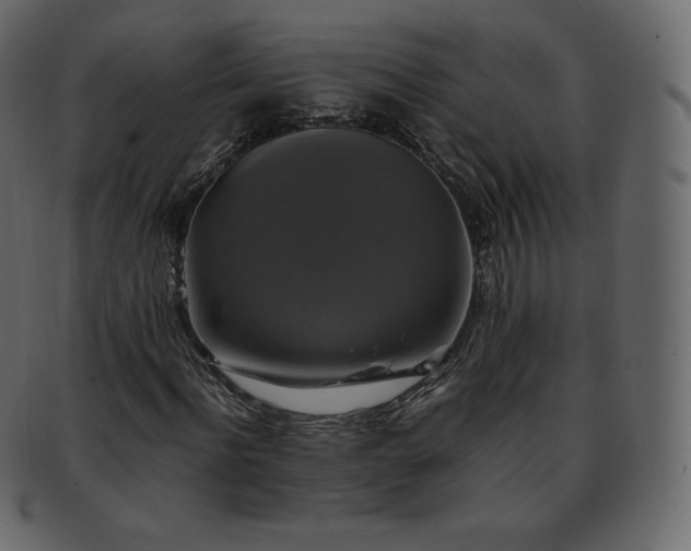 X0000093370916200710191113