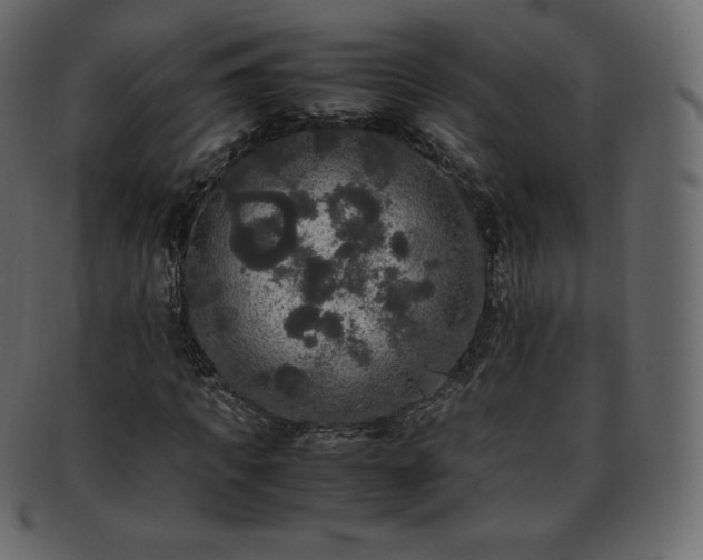 X0000093370917200710191113