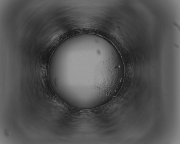 X0000093370918200710191113