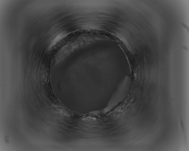 X0000093370919200710191113