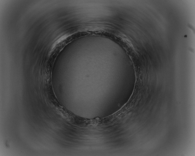 X0000093370920200710191113