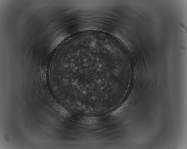 X0000093370921200710191113