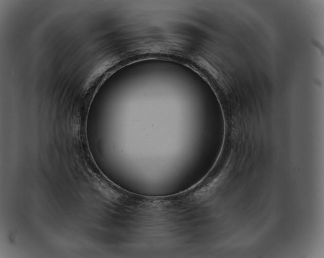 X0000093370922200710191113