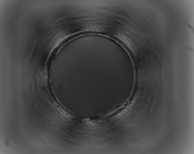 X0000093370923200710191113