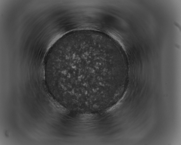 X0000093370925200710191113