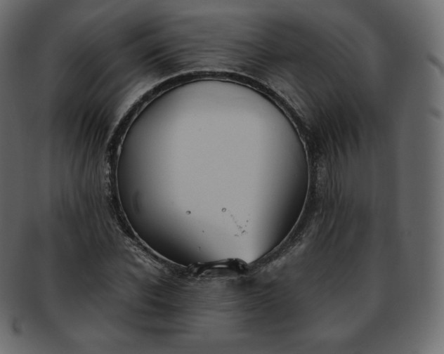 X0000093370926200710191113