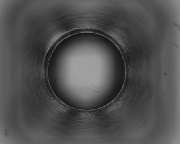 X0000093370927200710191113