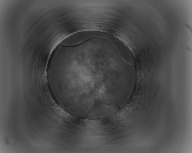 X0000093370928200710191113