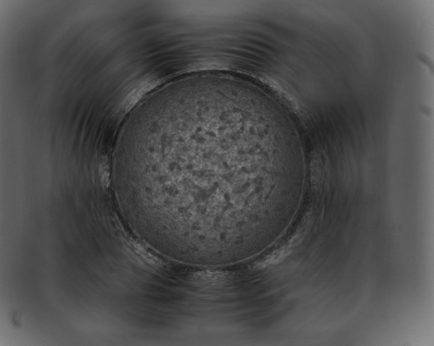 X0000093370929200710191113