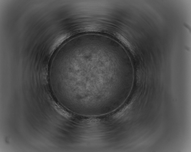 X0000093370930200710191113