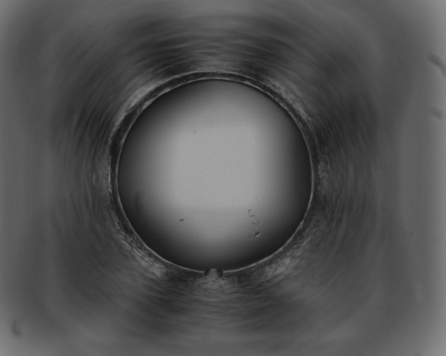 X0000093370931200710191113