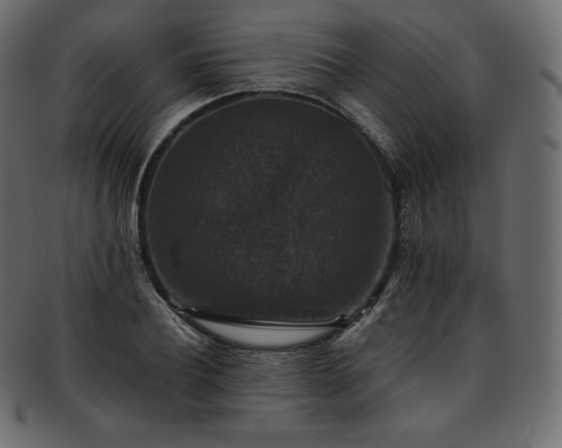 X0000093370932200710191113