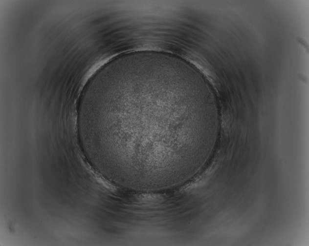 X0000093370933200710191113