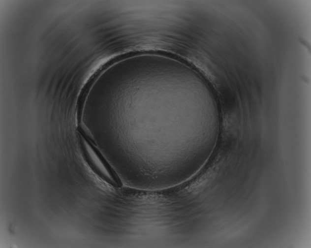 X0000093370934200710191113