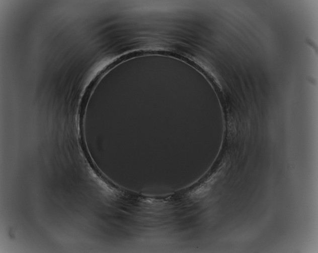 X0000093370935200710191113