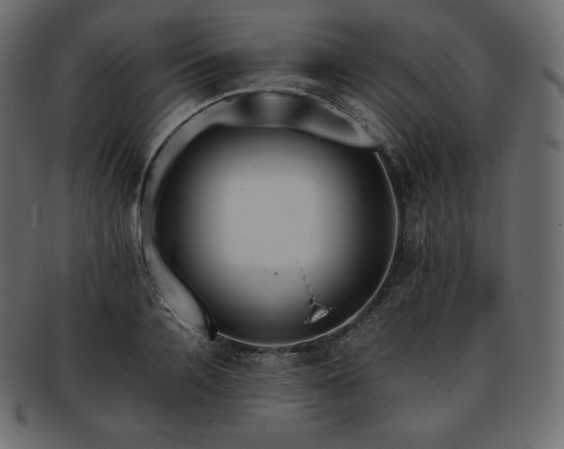 X0000093370936200710191113