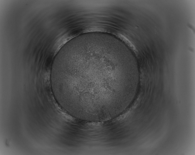 X0000093370937200710191113