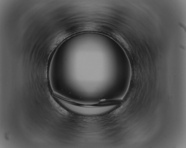 X0000093370938200710191113