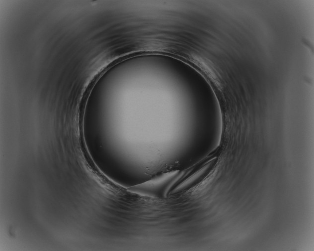 X0000093370939200710191113