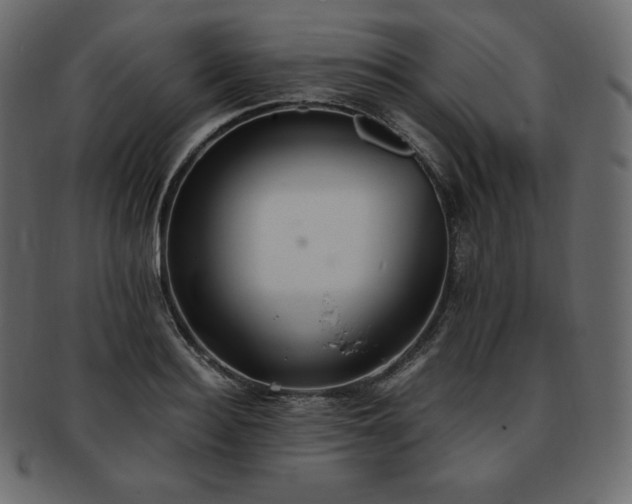 X0000093370940200710191113