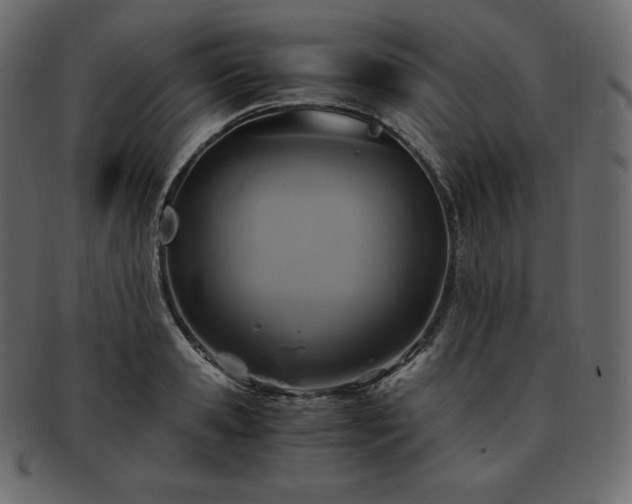 X0000093370941200710191113