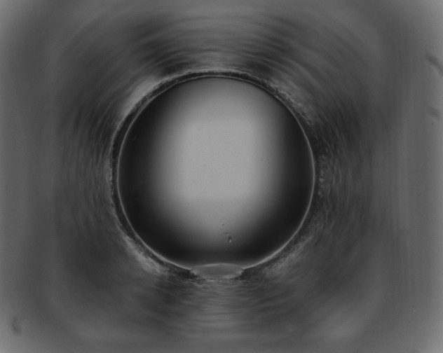 X0000093370942200710191113