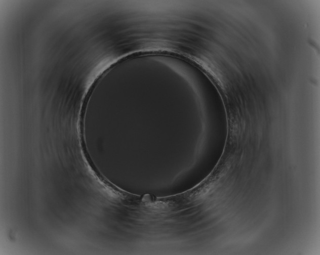 X0000093370943200710191113