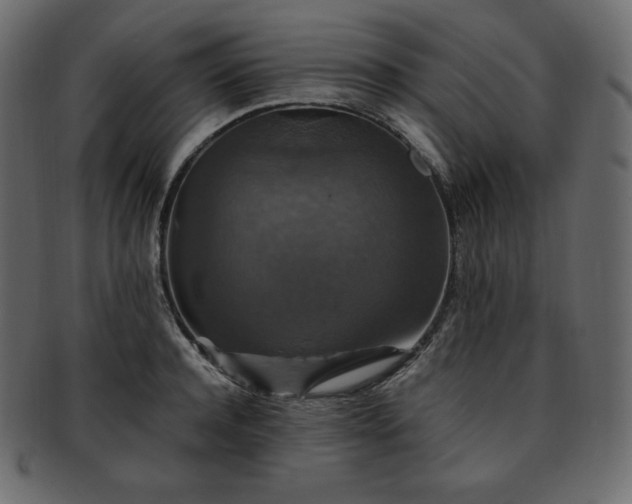 X0000093370944200710191113