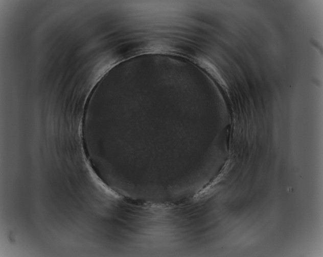 X0000093370946200710191113