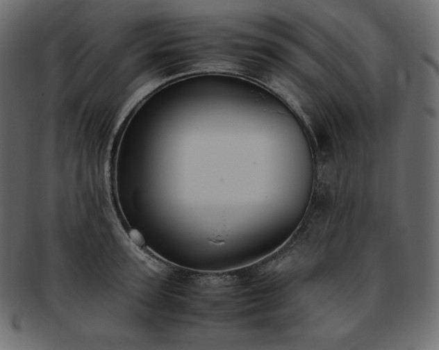 X0000093370947200710191113