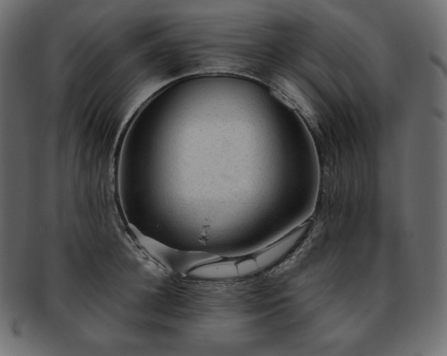 X0000093370948200710191113