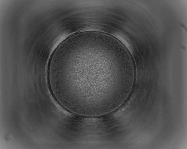 X0000093370949200710191113