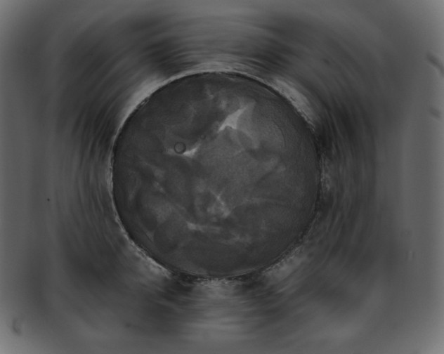 X0000093370950200710191113