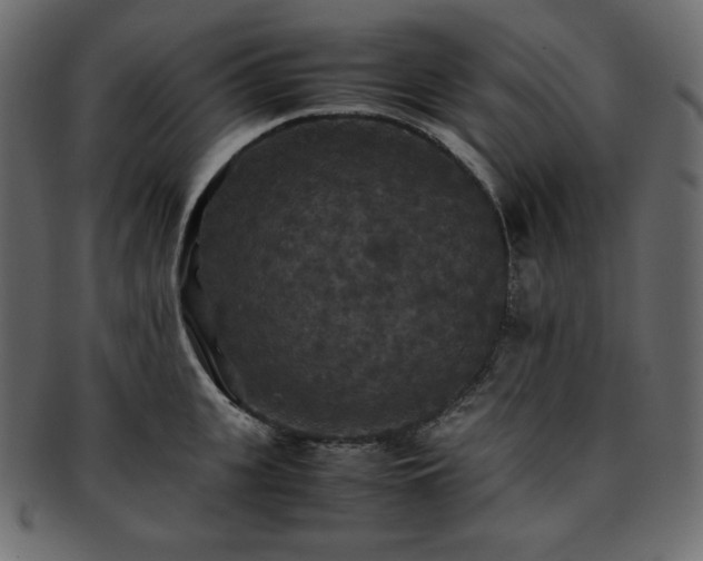 X0000093370951200710191113