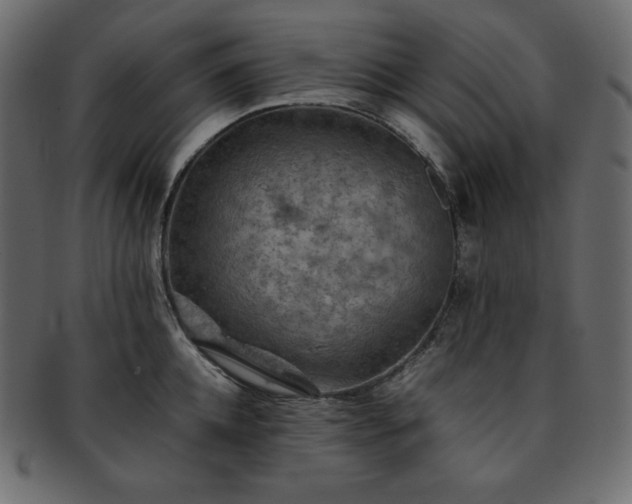 X0000093370952200710191113