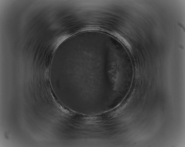 X0000093370953200710191113