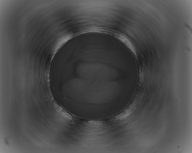 X0000093370954200710191113