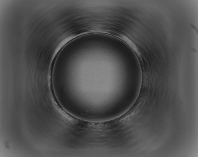 X0000093370955200710191113