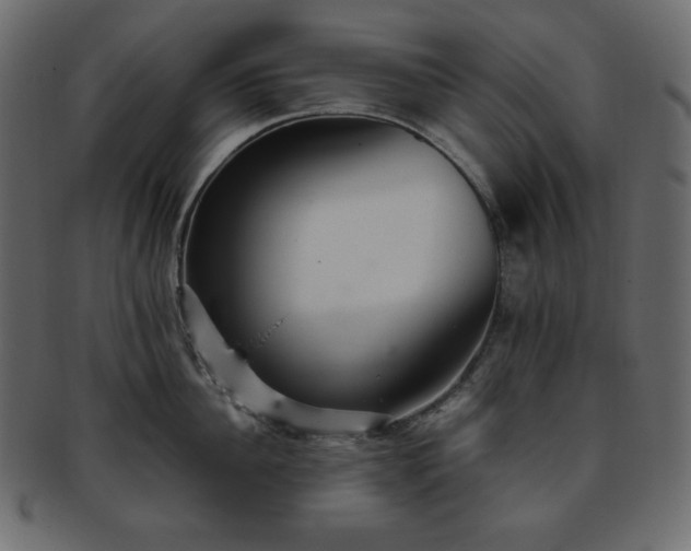 X0000093370956200710191113