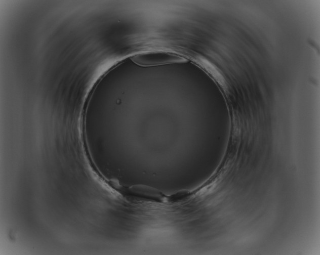 X0000093370958200710191113