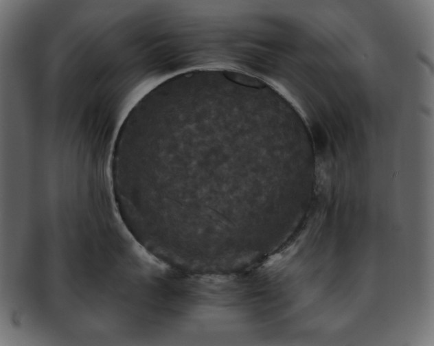 X0000093370959200710191113