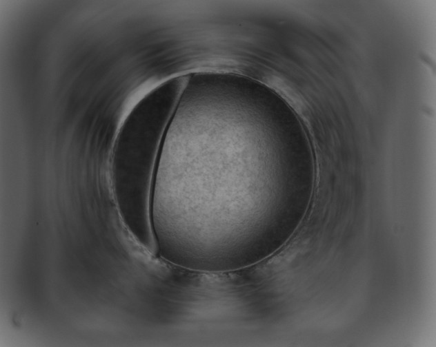 X0000093370960200710191113