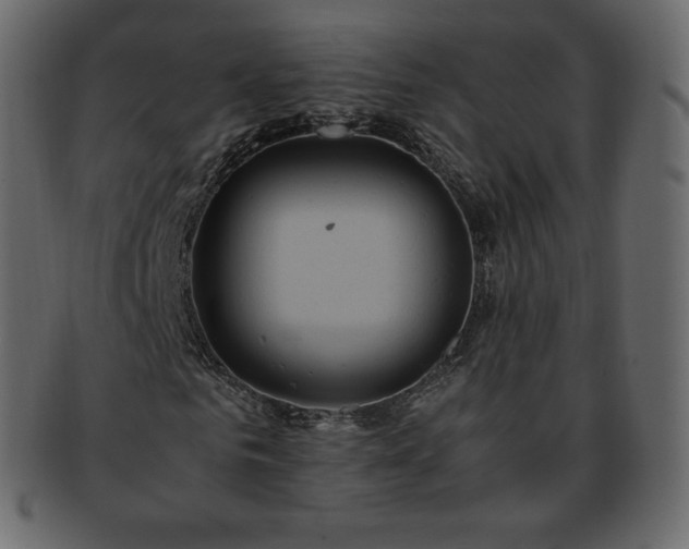 X0000093370961200710191113