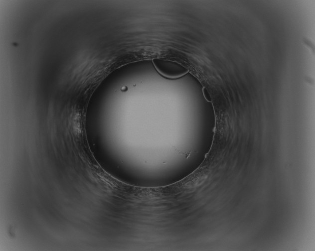 X0000093370962200710191113